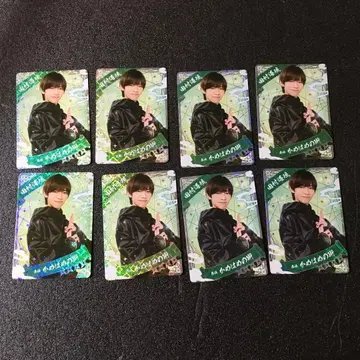 인기 컬렉션 타무라 카이류 8장 세트