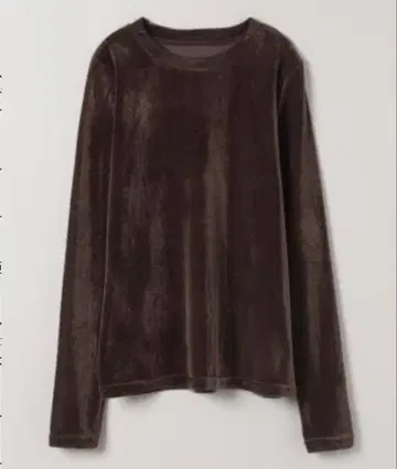 시어 벨로아 T 지나시스