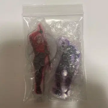 휴먼버그 대학 아마바조 와나카&코바야시