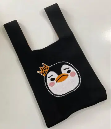 2PM 준호 펭귄 니트 백 대