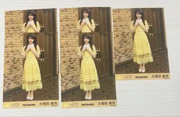 니아 조이 브로마이드 오시다 미즈키