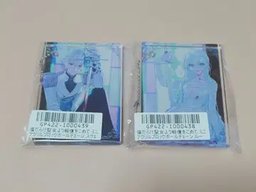 기생충투성이 성녀 아크릴 블록