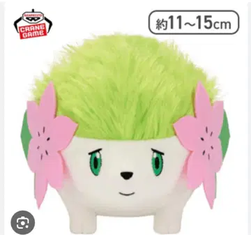 포켓몬스터 쉐이미 봉제 인형