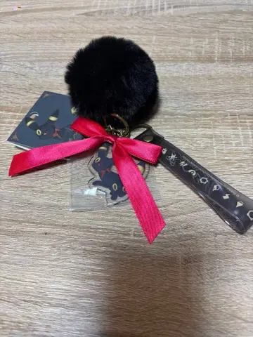 키링 블래키 Eevee Collection