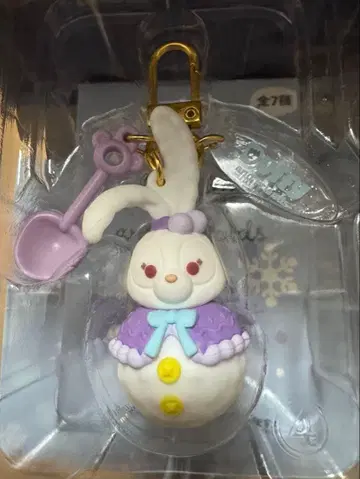 스텔라루 스노위데이의 시크릿 참