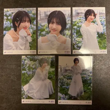 노기자카46 하야시 루나 코코니와 나이모노 개별 브로마이드 5장 컴프