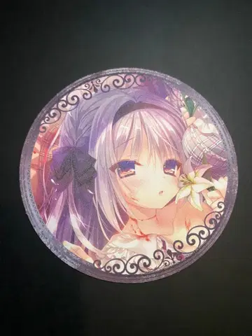 루비님 버그 시스템 한정판 코스터