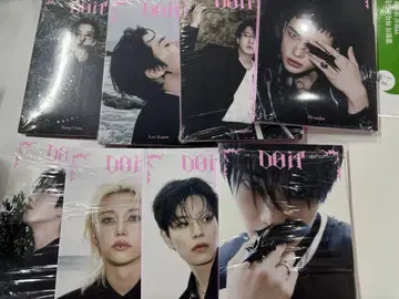 straykids 스키즈 DOIT 아코디언 8장 세트