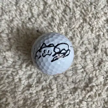 여자 프로 골프 JLPGA 스가누마 나나 프로 친필 사인 골프공