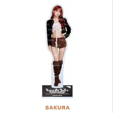 LE SSERAFIM 사쿠라 도쿄돔 아크릴 스탠드