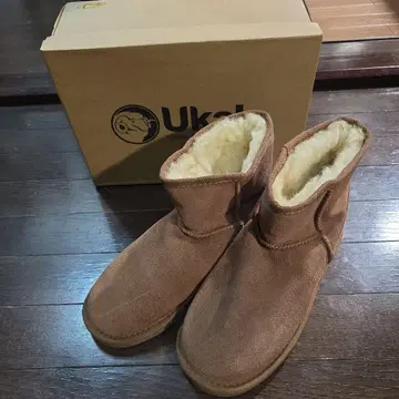 미사용 Ukala Sydney Mini 8 체스넛