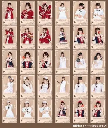 타카네노 나데시코 브로마이드 미니 사진 할로윈 컴프 30장