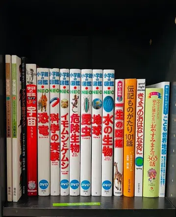 NEO 학습 참고서 DVD 포함 8권 세트