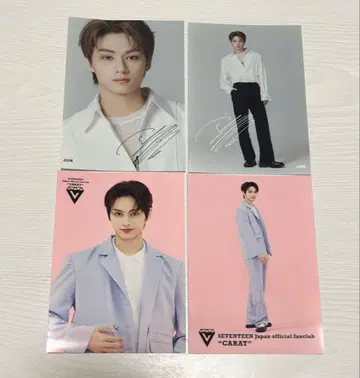 SEVENTEEN 준 carat 인터넷 프린트