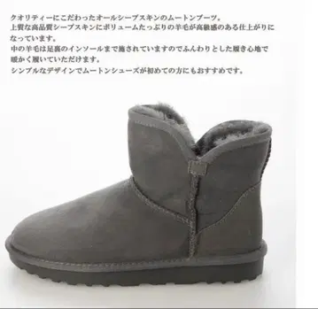 양모 100% 어그 부츠 숏 기장