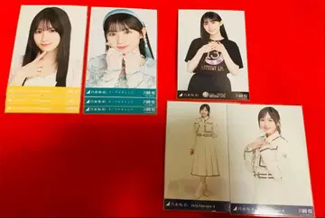 노기자카46 브로마이드 묶음 판매 카와사키 벚꽃