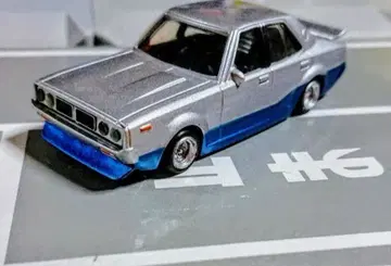 샤코탄 부기 켄메리 미니카