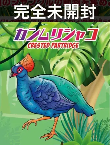 완전 미개봉 데아고스티니 정글&co. 바이컬러 댕기샤코