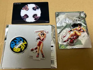 KOF 2000 아랑전설 아크릴 스탠드 아크릴 키링 시라누이 마이