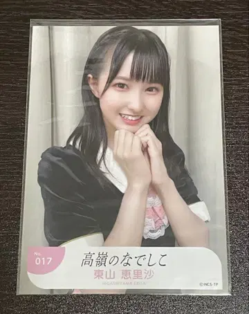 초레어 타카네노 나데시코 브로마이드 우브고에 히가시야마 에리사