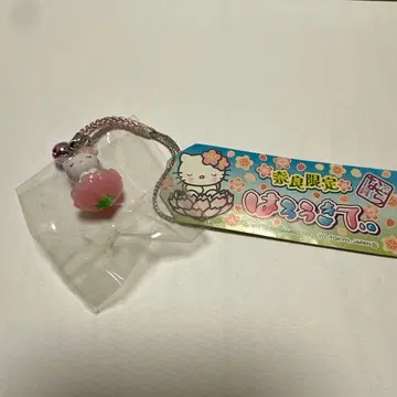 레어 지역 한정 헬로키티 나라 한정판 벚꽃