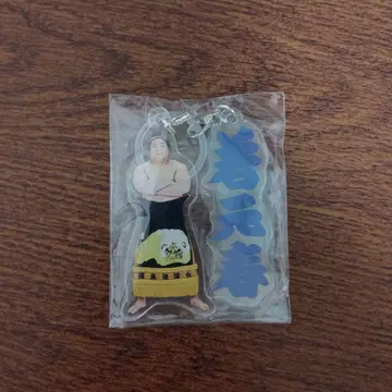 스모 와카모토하루 메지루시 액세서리