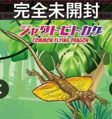 완전 미개봉 데아고스티니 정글&co. 잭트비 도마뱀