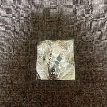 야기 유세이 아크링 키링