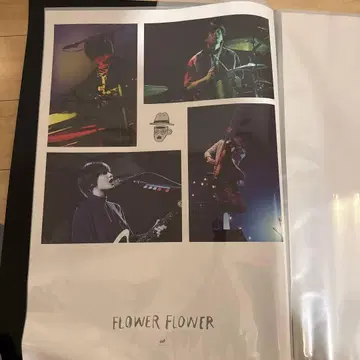 FLOWER FLOWER 포스터