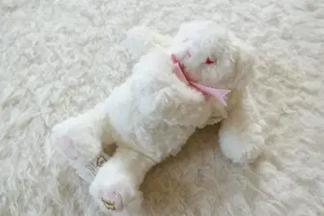 baby the stars shine bright 미니백