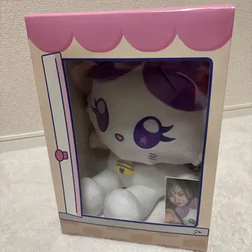 앉아 마이즈 ME:I 사사키 코코나 KOKO:NYA