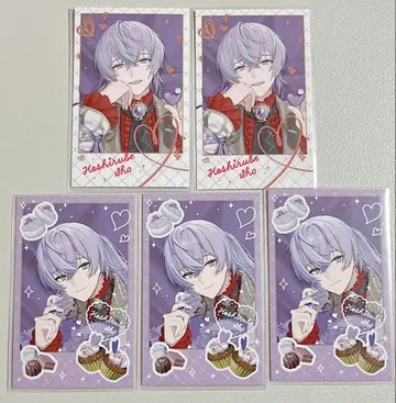 니지산지 별 인도 쇼 발렌타인 폴라로이드