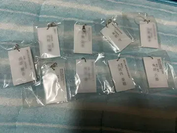 파트너 메지루시 참