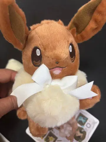 이브이 컬렉션 Eevee Collection 봉제 인형 이브이