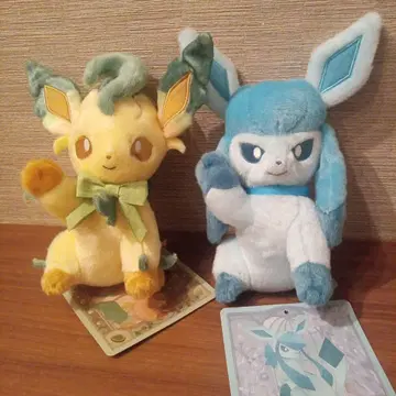 이브이 컬렉션 Eevee Collection 글레이시아 리피아