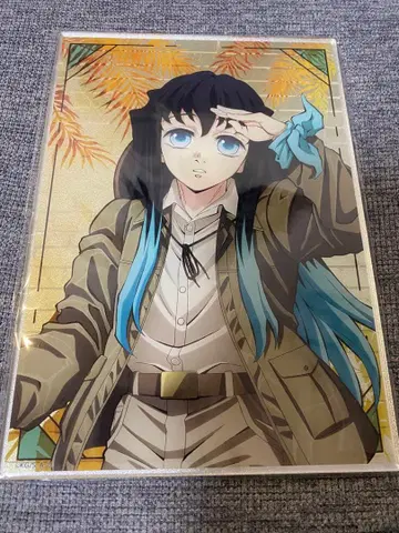 귀멸의 칼날 선샤인 전망 파크 가라폰 A상 토키토 무이치로