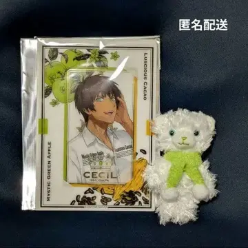 아이시마 세실 비쥬카 스노우 머플러 라임