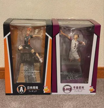 히나타 쇼요 우시지마 와카토시 피규어 세트
