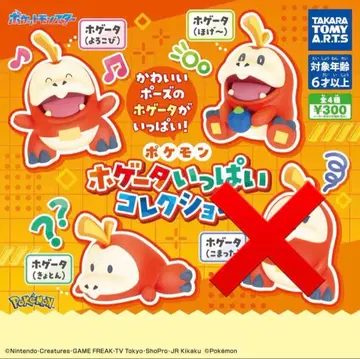 포켓몬 뜨아거(호게타) 가득 컬렉션