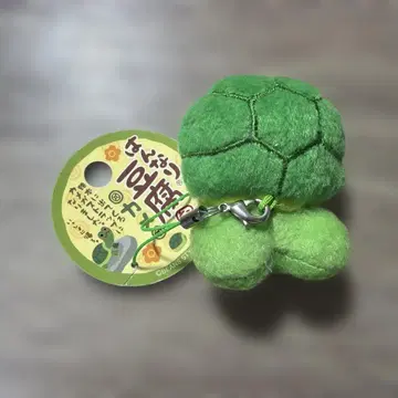 한나리 두부 거북이 마스코트