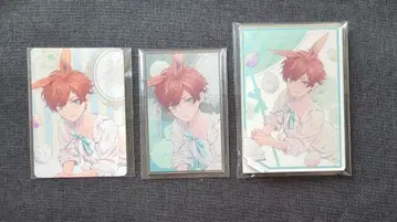 Another Aspect 아크릴 스탠드 천스트라글 호나 파르카