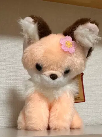 쵸콘과 여우 아키우라라 히나아라레 마스코트