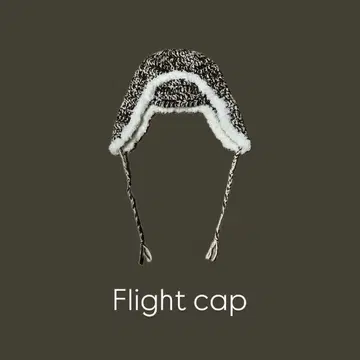 플라이트 캡