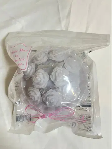 Snow Man 응원봉 Snow World