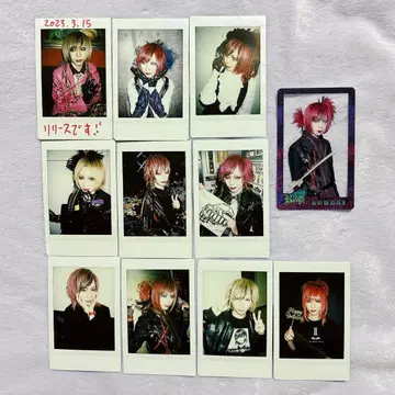 Royz 공대 폴라로이드