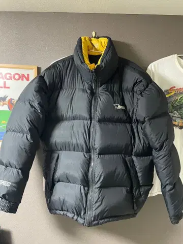 Bear USA 리버서블 다운 자켓