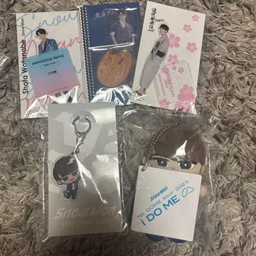 SnowMan 와타나베 쇼타 스노치루 아크릴 스탠드 교수형