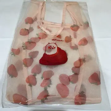 노기자카46 이케다 에레나 개인전 오리의 꿈 오간자 미니백