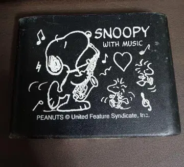 알토 색소폰 리드 케이스