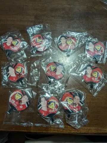 배구 남자 일본 대표 부채 아크릴 참